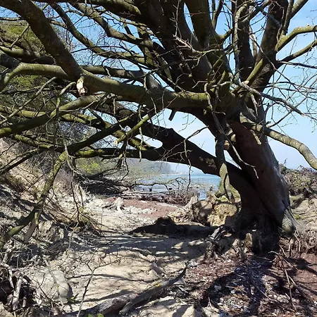 Nyaraló 4 Star In Sydals